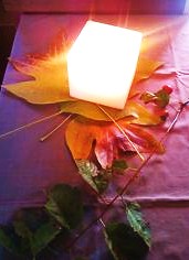 e0189225_1415295.jpg