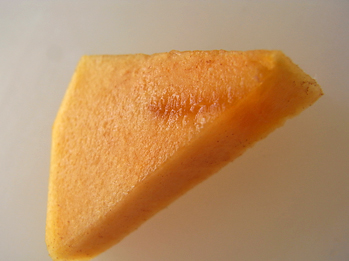 d0184326_16214534.jpg
