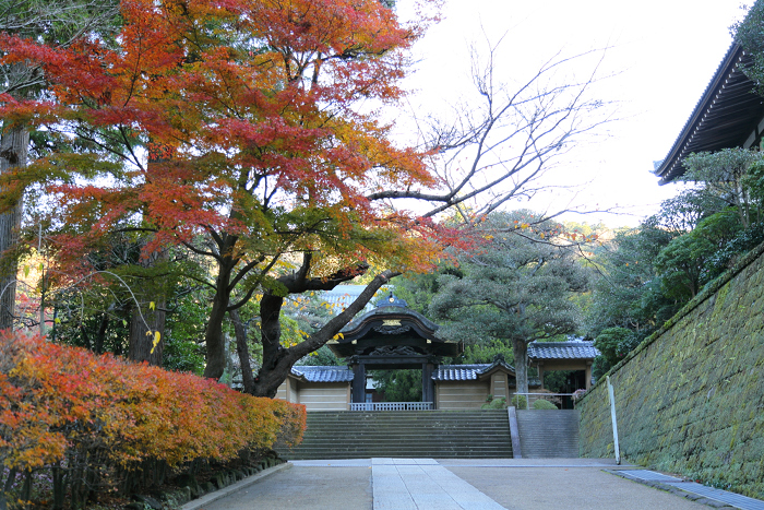 鎌倉散歩　#39 －紅葉の北鎌倉巡り（円覚寺・後編）－_b0169330_23375942.jpg