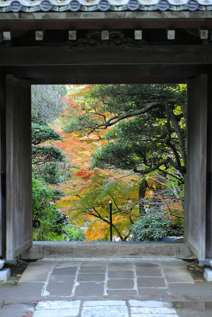 鎌倉散歩　#39 －紅葉の北鎌倉巡り（円覚寺・後編）－_b0169330_7212539.jpg