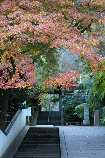 鎌倉散歩　#39 －紅葉の北鎌倉巡り（円覚寺・後編）－_b0169330_755298.jpg