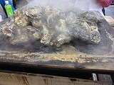 b0170931_20124912.jpg
