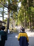 b0170931_2032249.jpg