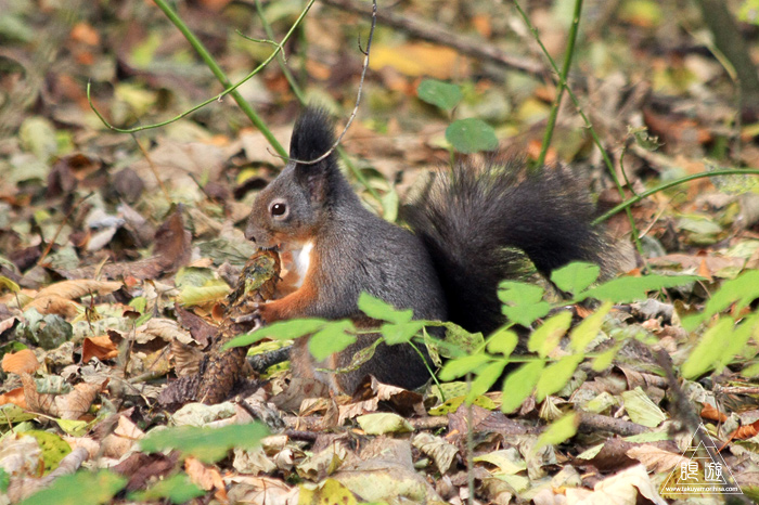 361 Hellabrunn Zoo ~ミュンヘンの動物園~_c0211532_1483216.jpg