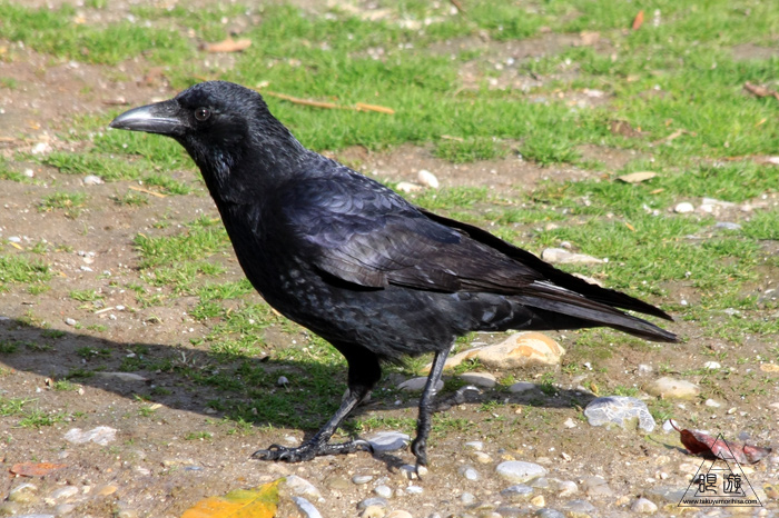 361 Hellabrunn Zoo ~ミュンヘンの動物園~_c0211532_2304671.jpg