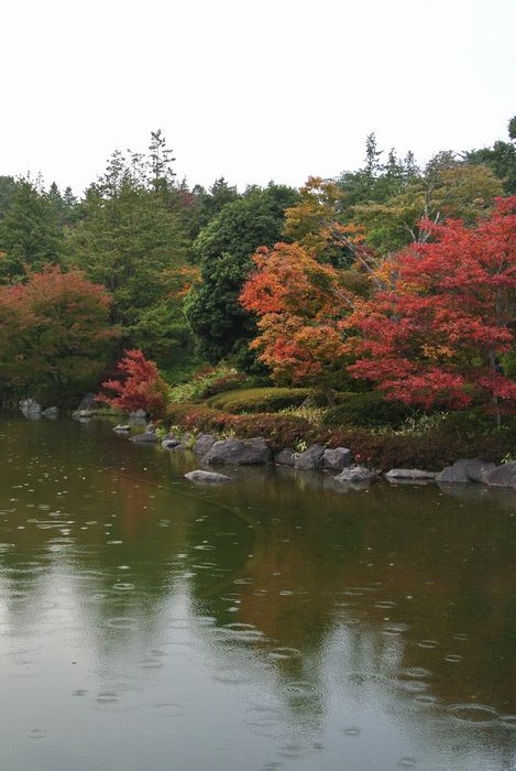 昭和記念公園で紅葉を楽しみました_e0089232_7582662.jpg