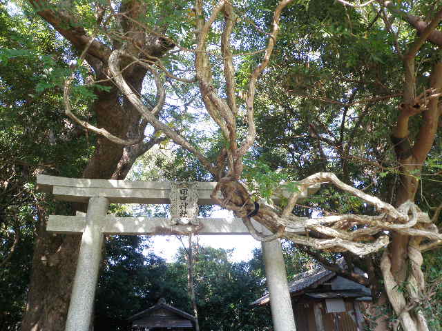 e0241833_10291542.jpg