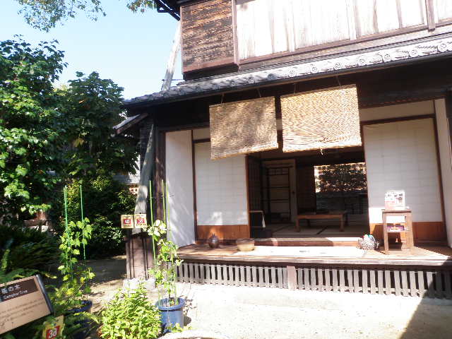 e0241833_10295538.jpg