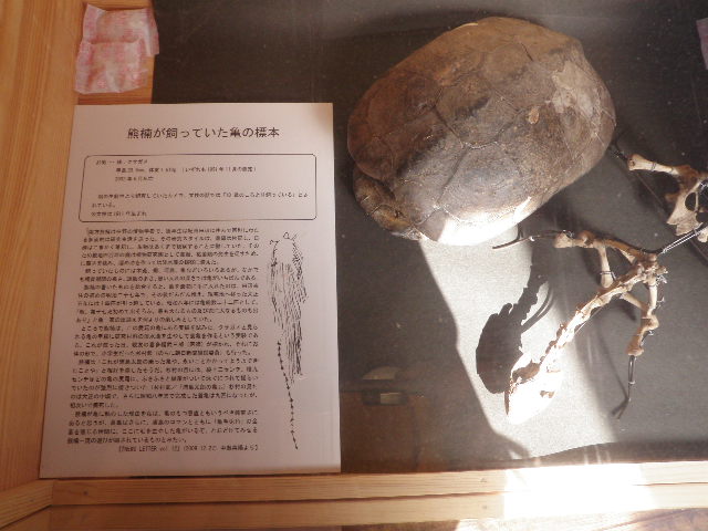 e0241833_1031770.jpg