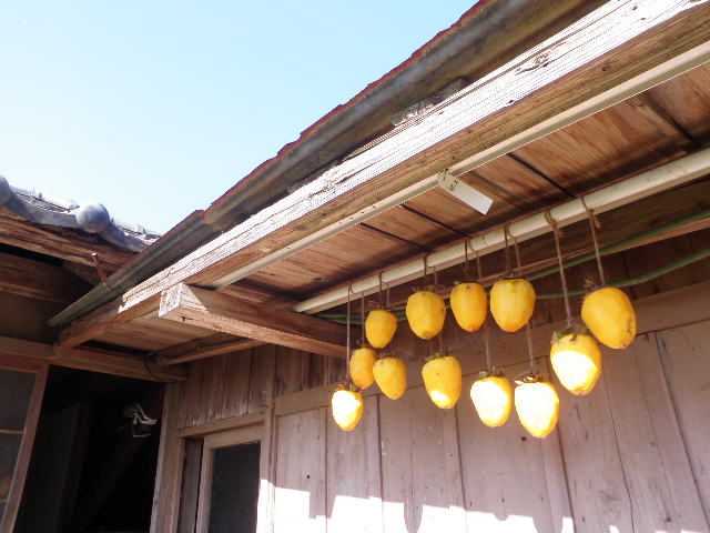 e0241833_959226.jpg