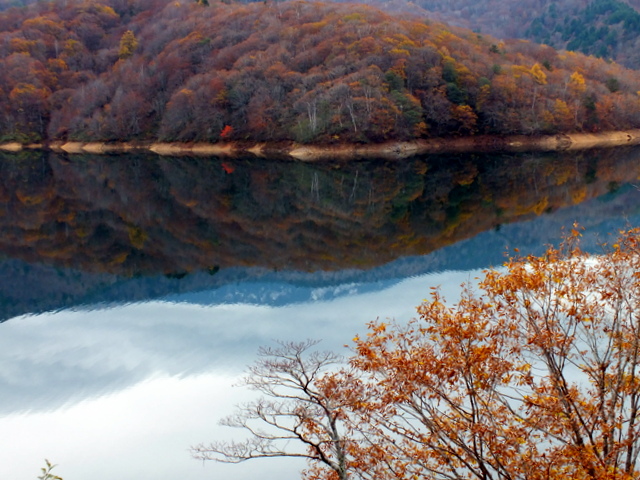 有峰林道の紅葉・冷夕谷遊歩道_d0081235_8402368.jpg