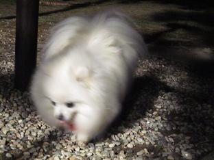 久しぶりの室津_b0177436_2339074.jpg
