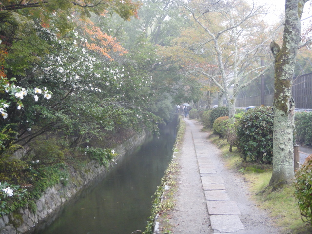 雨の京都で贅沢な昼下がり・・・哲学の道の猫たち_d0255036_23555163.jpg