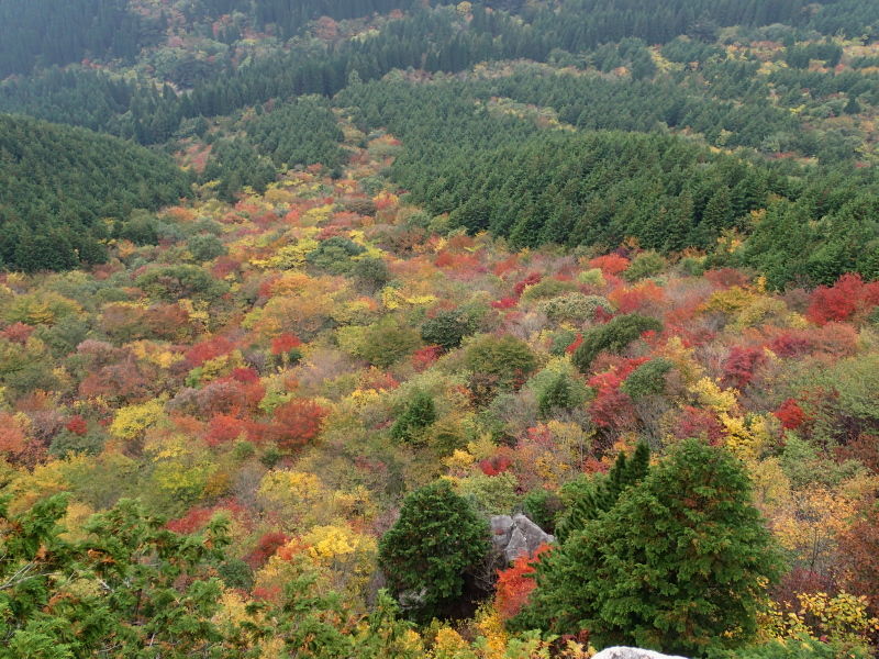 そ～いえば・・・！？（１１月３日）_d0169937_1915094.jpg