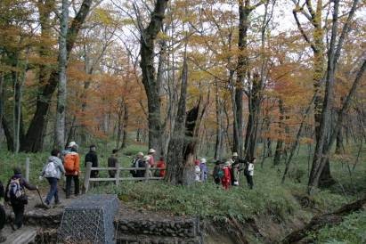 みどり学Ⅰ B班 奥日光(小田代ガ原、湯滝)野外学習_e0211937_16565455.jpg