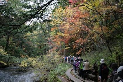 みどり学Ⅰ B班 奥日光(小田代ガ原、湯滝)野外学習_e0211937_16565882.jpg