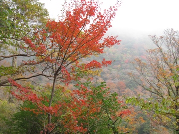 山・紅葉・湯・麺　　雲仙　普賢岳（１３５９ｍ）_c0077338_6284683.jpg