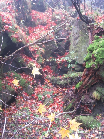 山・紅葉・湯・麺　　雲仙　普賢岳（１３５９ｍ）_c0077338_629382.jpg