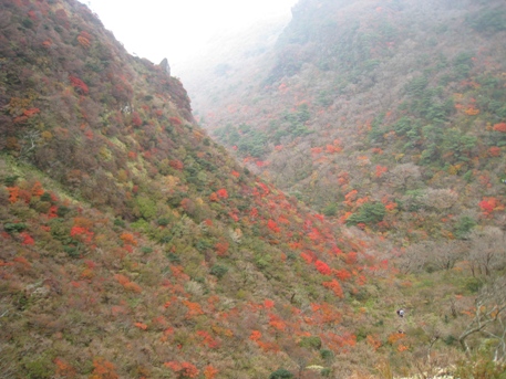 山・紅葉・湯・麺　　雲仙　普賢岳（１３５９ｍ）_c0077338_6302112.jpg