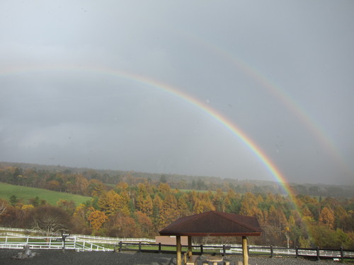 b0178339_0235.jpg