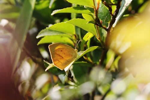 c0172139_23183029.jpg