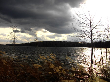 e0242439_2035665.jpg