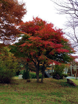 a0135840_1113157.jpg