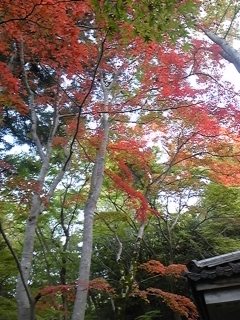 a0286340_1483919.jpg