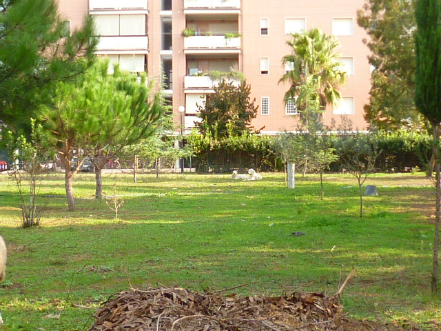 d0170140_3483140.jpg