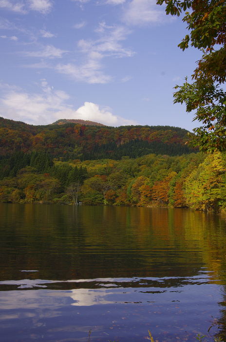 d0237340_22105846.jpg