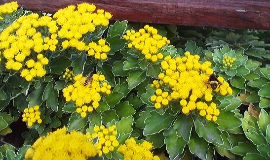 a0272241_1175069.jpg