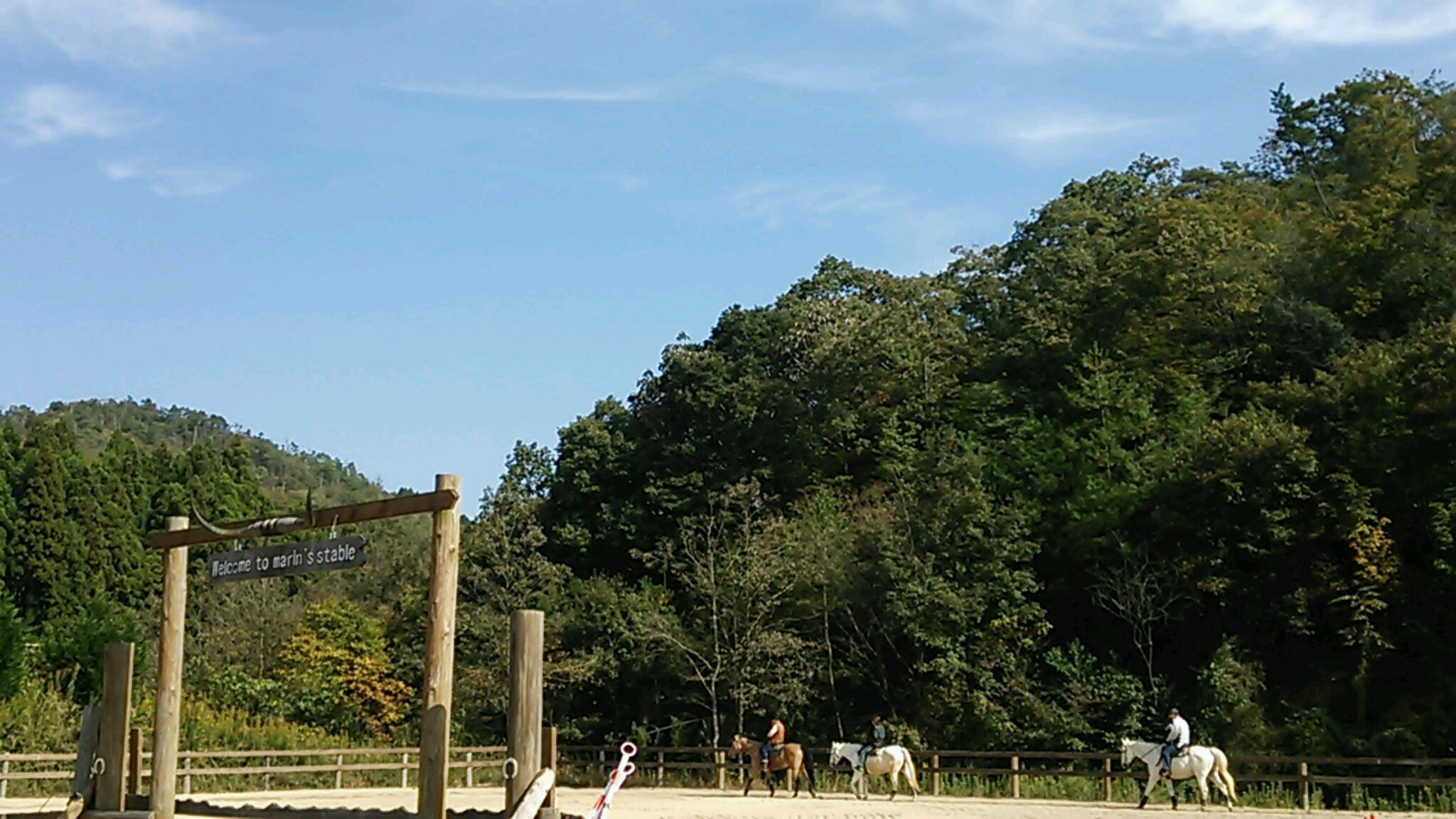 連休の3日間_e0145441_6372661.jpg