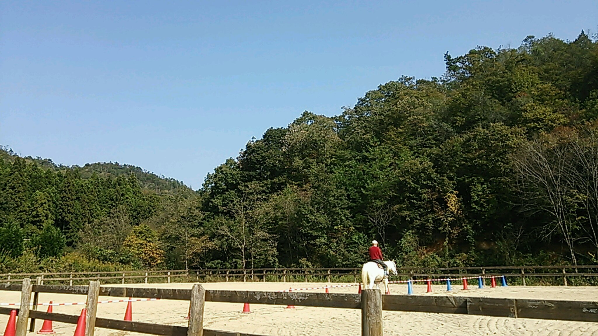 連休の3日間_e0145441_638589.jpg