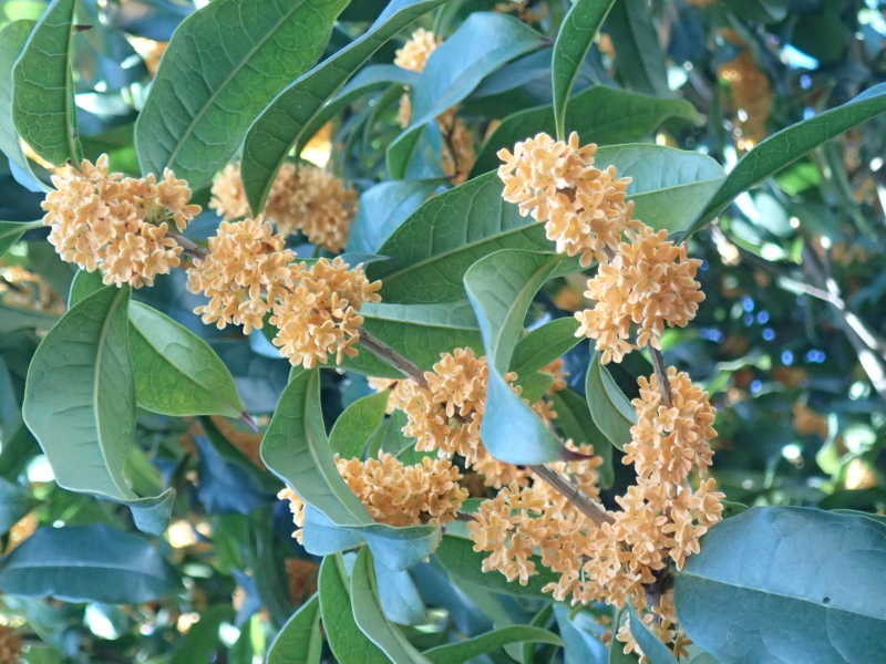 b0190242_17102713.jpg