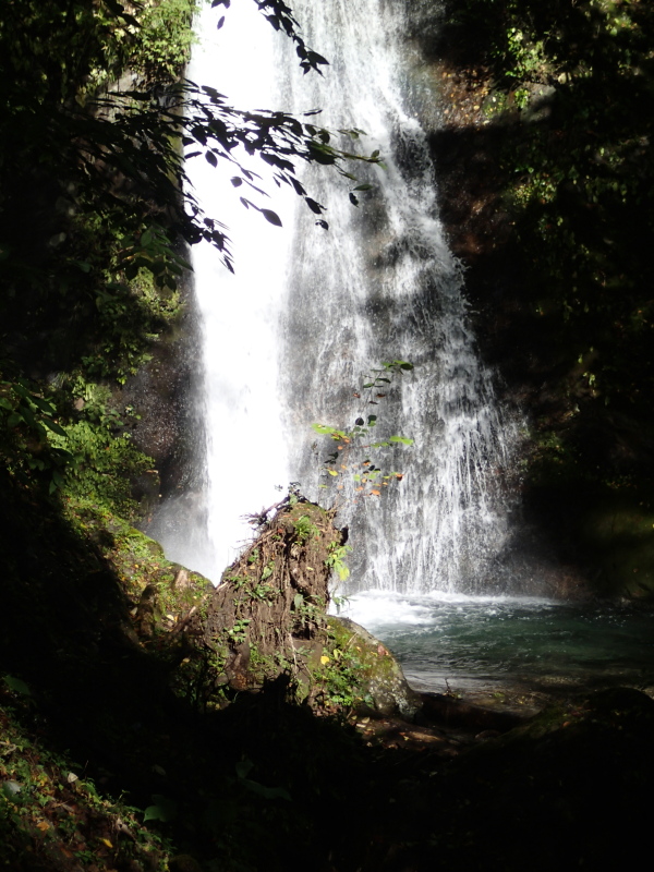b0190242_17414540.jpg