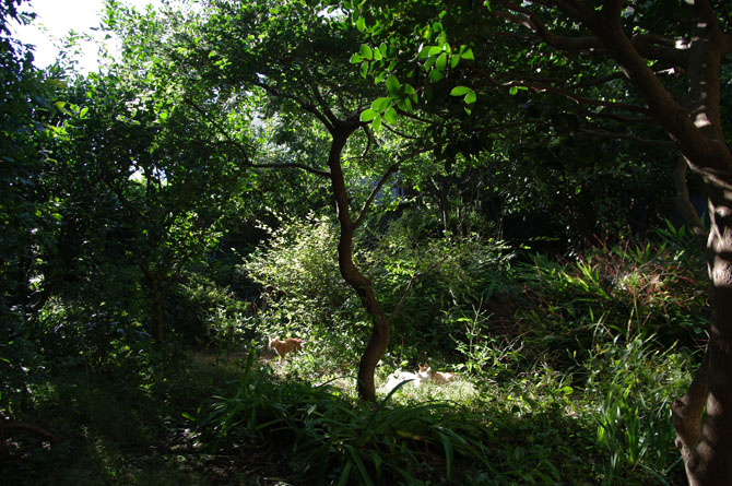 f0149442_21331780.jpg