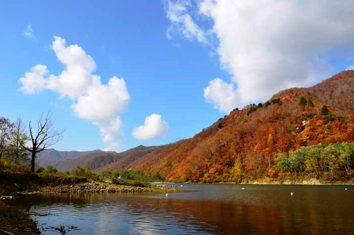 銀山湖 奥只見湖 紅葉 銀山蕎麦ドライブ Troutbum Toby 銀山湖 奥只見湖 紅葉 銀山蕎麦ドライブ Troutbum Toby
