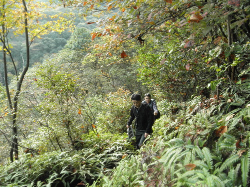 第4回登山部より報告_b0211845_20584766.jpg