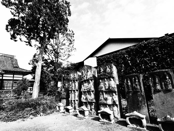 円通寺の三十三観音 Ⅰ 埼玉県鴻巣市 TOM'S Photo