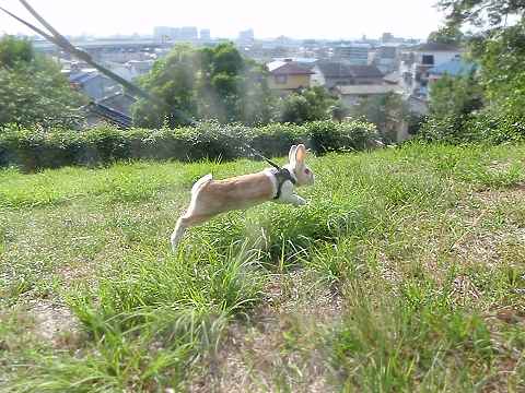 a0095546_2246543.jpg