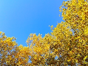 b0117348_23223662.jpg