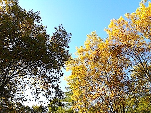 b0117348_23241567.jpg