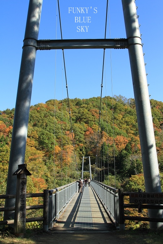 c0145250_1755796.jpg