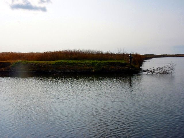 c0097652_20572142.jpg