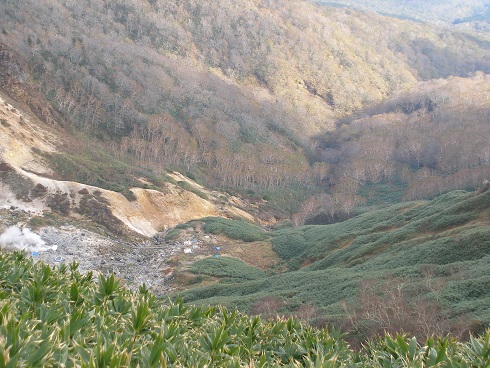 c0037553_9214328.jpg