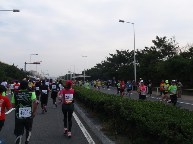 a0242657_011498.jpg