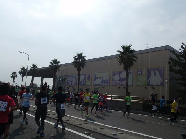 a0242657_013193.jpg