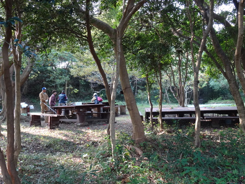 c0108460_20504665.jpg