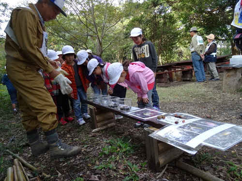 淡輪小学校１年生遠足サポート　　in　　うみべの森_c0108460_20525011.jpg