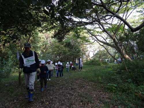 淡輪小学校１年生遠足サポート　　in　　うみべの森_c0108460_20532549.jpg